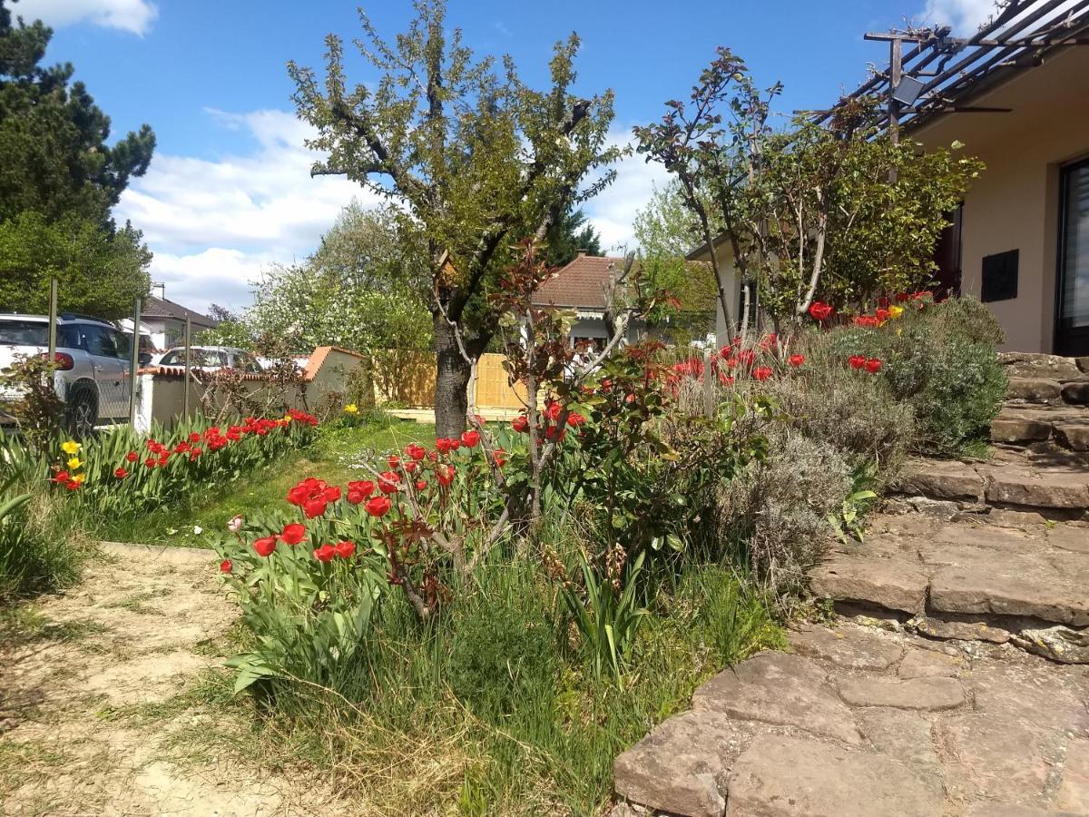 Maison Familiale 30 Min. D'Europa-Park - Rulantica Villa Gerstheim Buitenkant foto